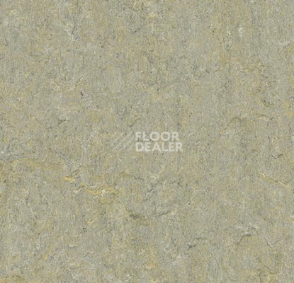 Линолеум Forbo Marmoleum Marbled Terra 5801-580135 river bank фото 1 | FLOORDEALER
